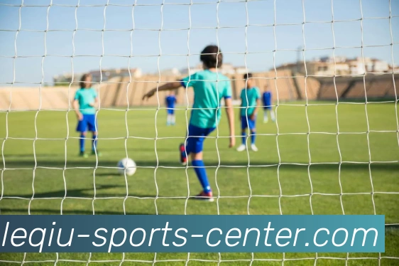 乐球体育品牌故事